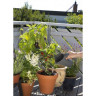 Комплект садовых инструментов GARDENA 